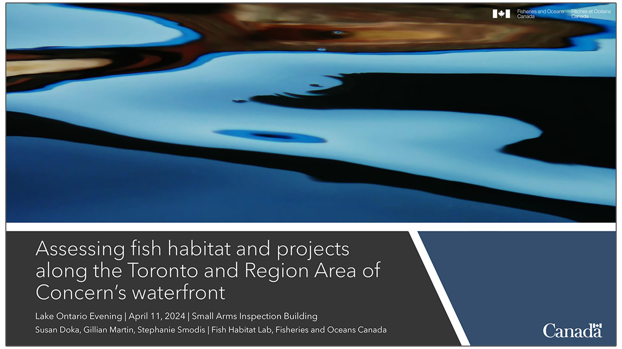 Assessing Fish Habitat and Projects Along the Toronto and Region Area of Concern's Waterfront