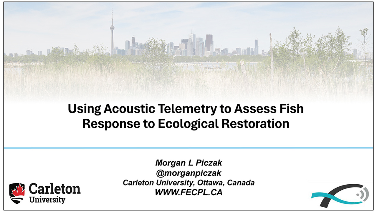 Using Acoustic Telemetry to Assess Fish Response to Ecological Restoration