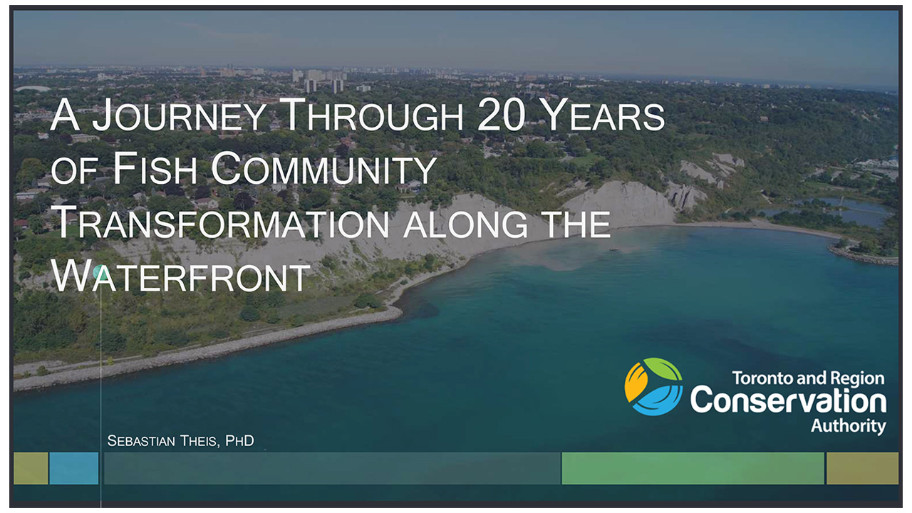 A Journey Through 20 Years of Fish Community Transformation Along the Waterfront