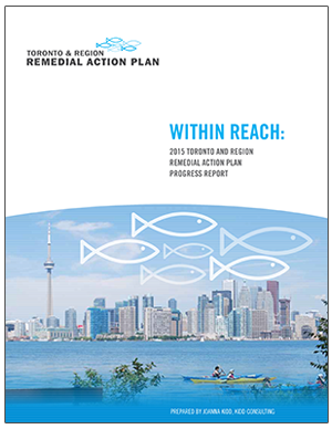 cover of Toronto RAP 2015 progress report