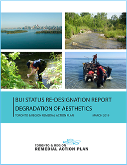 cover page of Degradation of Aesthetics BUI Re-Designation Report