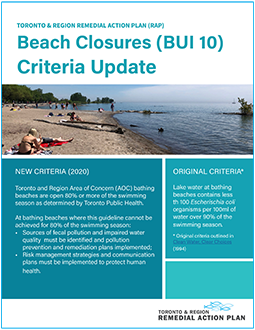 cover page of Beaches Criteria Update report