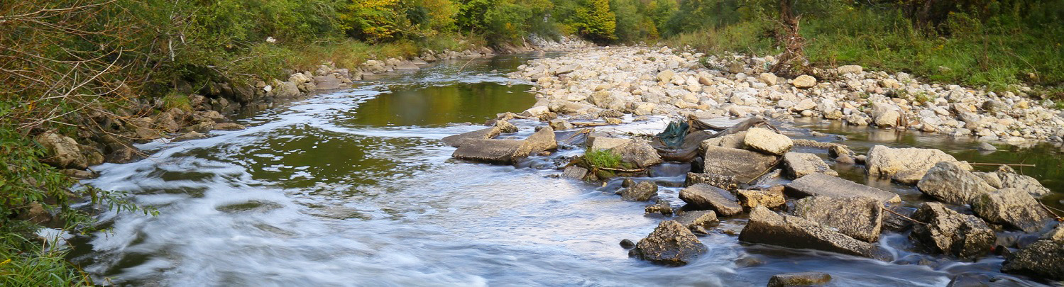 Who We Are What We Do Toronto Rap