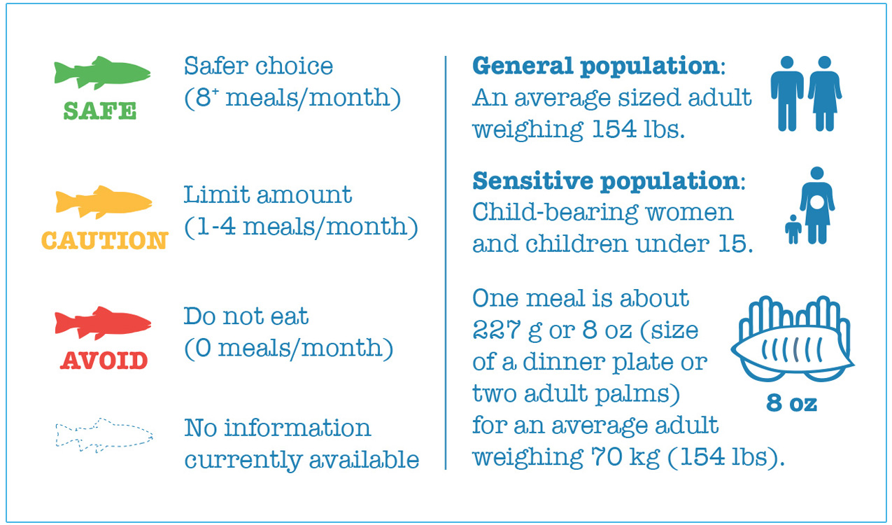 card from eating local fish guide explains how to make safe choices